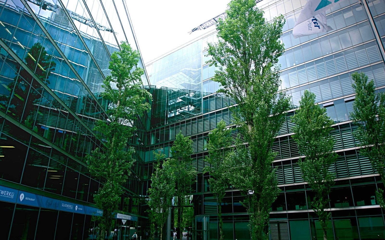 A modern glass building among trees